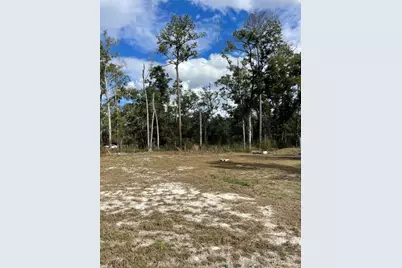 15635 97th Drive, Live Oak, FL 32060 - Photo 3