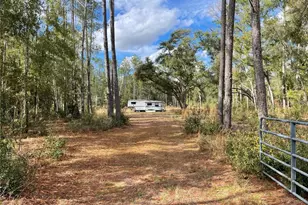 15635 97th Dr, Live Oak, FL 32060 - Photo 1