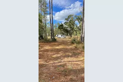 15635 97th Drive, Live Oak, FL 32060 - Photo 13