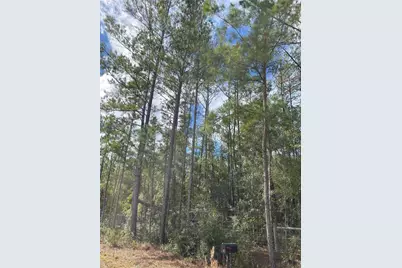 15635 97th Drive, Live Oak, FL 32060 - Photo 11