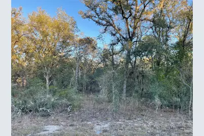 Tbd SW Willow Rd, Dunnellon, FL 34431 - Photo 1