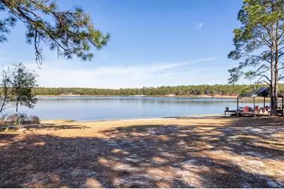 1412 Baden Powell Road, Hawthorne, FL 32640 - Photo 3