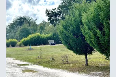 0 NW 60th St, Chiefland, FL 32626 - Photo 7