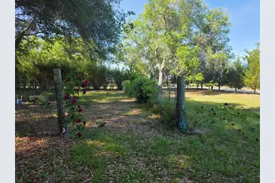 0 NW 60th St, Chiefland, FL 32626 - Photo 11