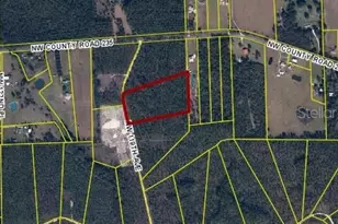 Cr-235, Lake Butler, FL 32054 - Photo 5