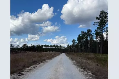 Cr-235, Lake Butler, FL 32054 - Photo 3
