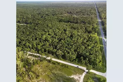 Tbd NE 349 Highway, Old Town, FL 32680 - Photo 3