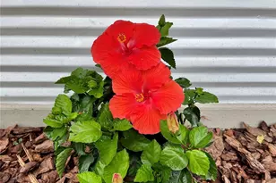 1715 NE 6th Pl, Gainesville, FL 32641 - Photo 27