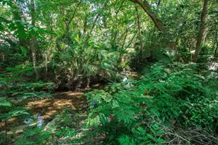 1015 SW 9th St, Gainesville, FL 32601 - Photo 15