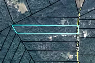 4235 Oak Forest Ln, Keystone Heights, FL 32656 - Photo 1