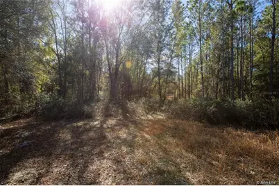 7644 Huron Court, Keystone Heights, FL 32656 - Photo 11