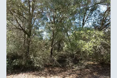 7644 Huron Court, Keystone Heights, FL 32656 - Photo 5