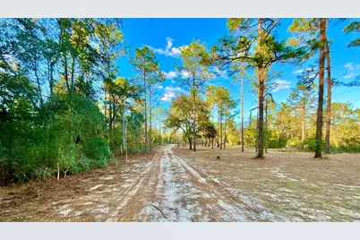 109 Sandpiper Drive, Hawthorne, FL 32640 - Photo 33