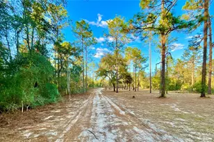 109 Sandpiper Dr, Hawthorne, FL 32640 - Photo 33