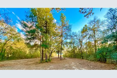 109 Sandpiper Drive, Hawthorne, FL 32640 - Photo 35