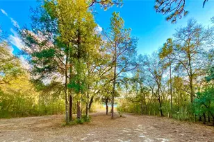 109 Sandpiper Dr, Hawthorne, FL 32640 - Photo 35