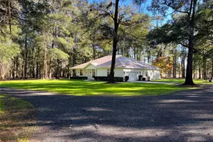 15125 NW 87 Ave, Alachua, FL 32615 - Photo 45