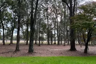 15125 NW 87 Ave, Alachua, FL 32615 - Photo 51