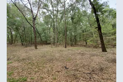 4919 NE 18 Trail, Trenton, FL 32693 - Photo 15