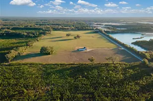 3789 NW 202nd St, Newberry, FL 32669 - Photo 59