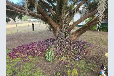 240 Kitty Avenue, Interlachen, FL 32148 - Photo 3