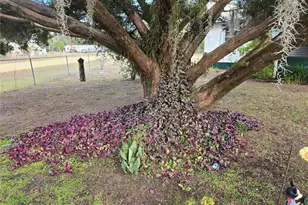 240 Kitty Ave, Interlachen, FL 32148 - Photo 3