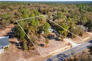 10071 NE 80th St, Bronson, FL 32621 - Photo 3