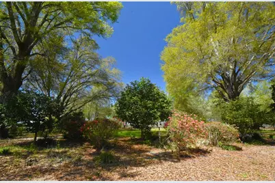 272 NE County Road 337, Trenton, FL 32693 - Photo 93