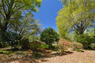 272 NE County Rd 337, Trenton, FL 32693 - Photo 93