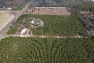 272 NE County Rd 337, Trenton, FL 32693 - Photo 43