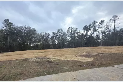 581 SW Bellflower Drive, Lake City, FL 32024 - Photo 1