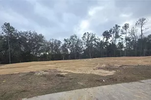 581 SW Bellflower Dr, Lake City, FL 32024 - Photo 1