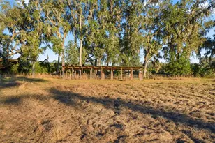 3789 NW 202nd St, Newberry, FL 32669 - Photo 67