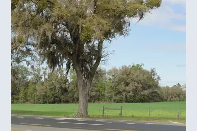 Tbd Highway 441, Alachua, FL 32615 - Photo 5