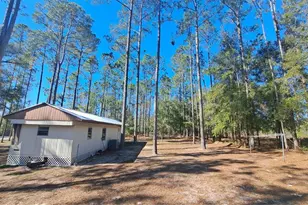 669 SW Shiloh St, Fort White, FL 32038 - Photo 15