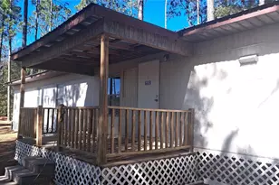 669 SW Shiloh St, Fort White, FL 32038 - Photo 3