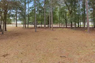 11235 SW 131 Terrace, Dunnellon, FL 34432 - Photo 37