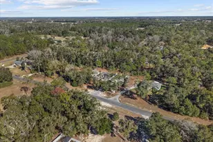 11171 NW 73rd Ct, Chiefland, FL 32626 - Photo 61