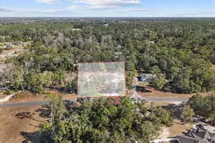 11171 NW 73rd Ct, Chiefland, FL 32626 - Photo 67