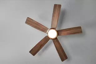 11171 NW 73rd Ct, Chiefland, FL 32626 - Photo 7