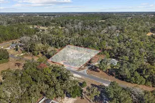 11171 NW 73rd Ct, Chiefland, FL 32626 - Photo 65