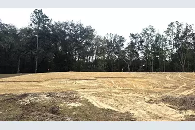 525 SW Bellflower Drive, Lake City, FL 32024 - Photo 1