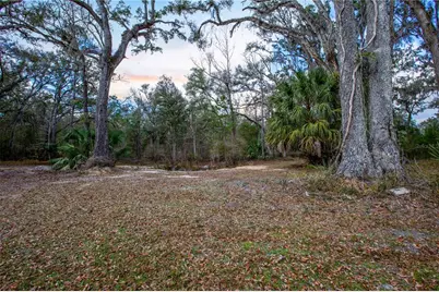 402 SE 709 Street, Old Town, FL 32680 - Photo 33