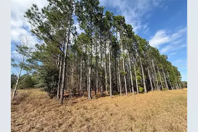 00 SW Sr 121, Lake Butler, FL 32054 - Photo 5