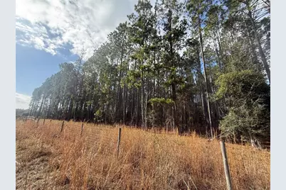 00 SW Sr 121, Lake Butler, FL 32054 - Photo 9