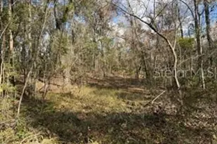 [Address not provided], Bell, FL 32619 - Photo 1