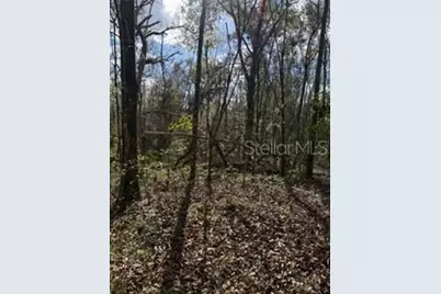 [Address not provided], Bell, FL 32619 - Photo 11