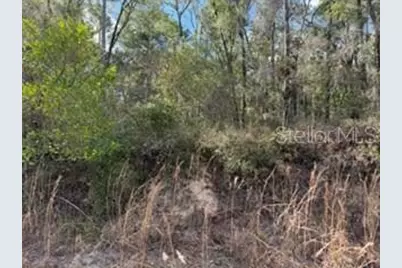 [Address not provided], Bell, FL 32619 - Photo 3