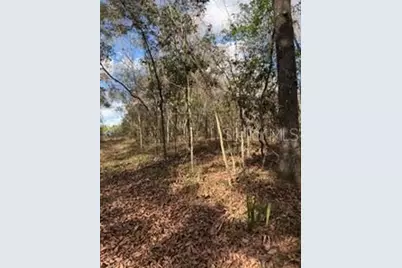 [Address not provided], Bell, FL 32619 - Photo 9