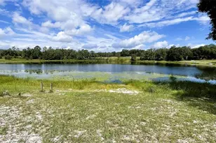 151 Twin Lakes Rd, Hawthorne, FL 32640 - Photo 27